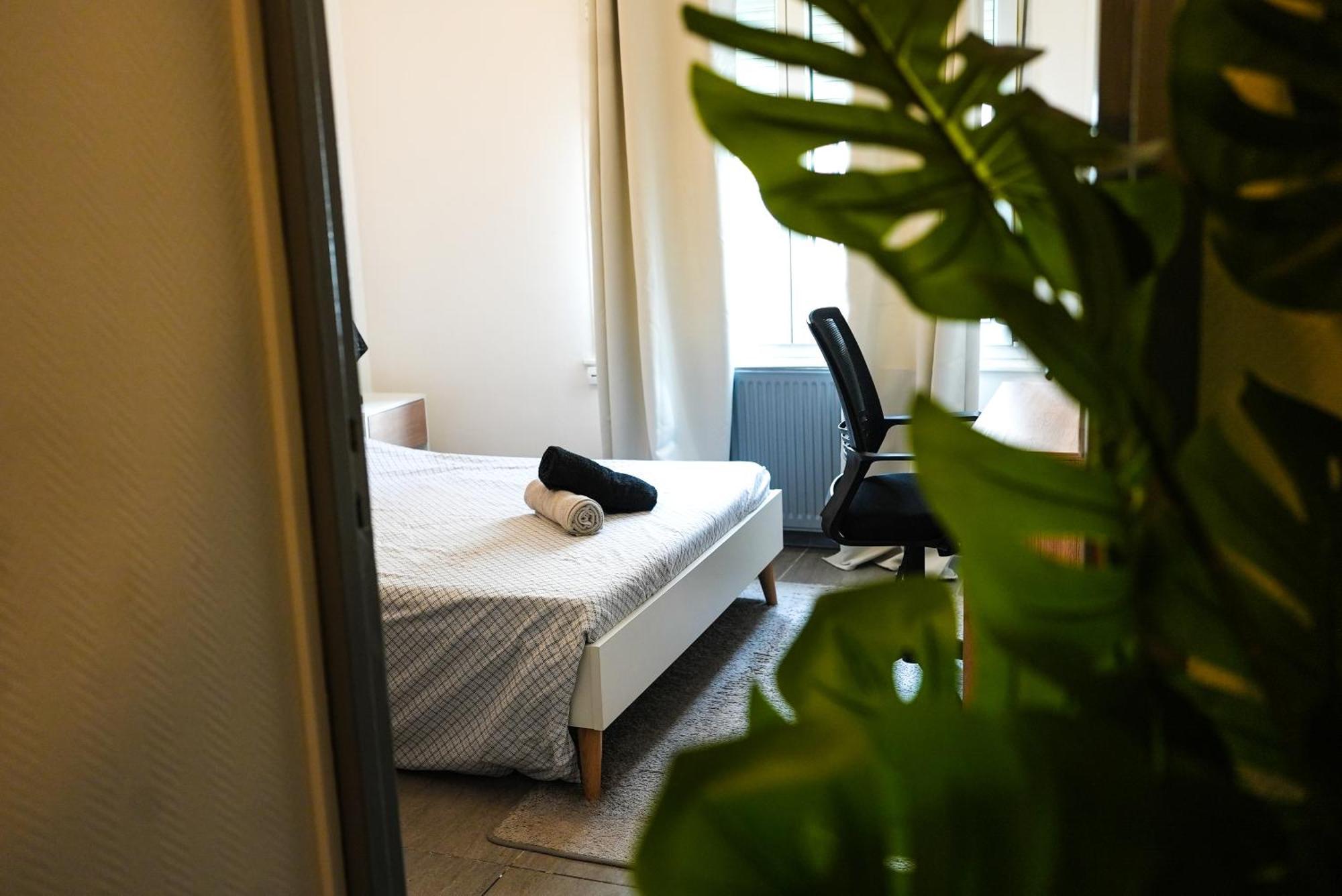 Appartement Temis Et Centre Ville Avec Parking-Wifi Besancon Ngoại thất bức ảnh